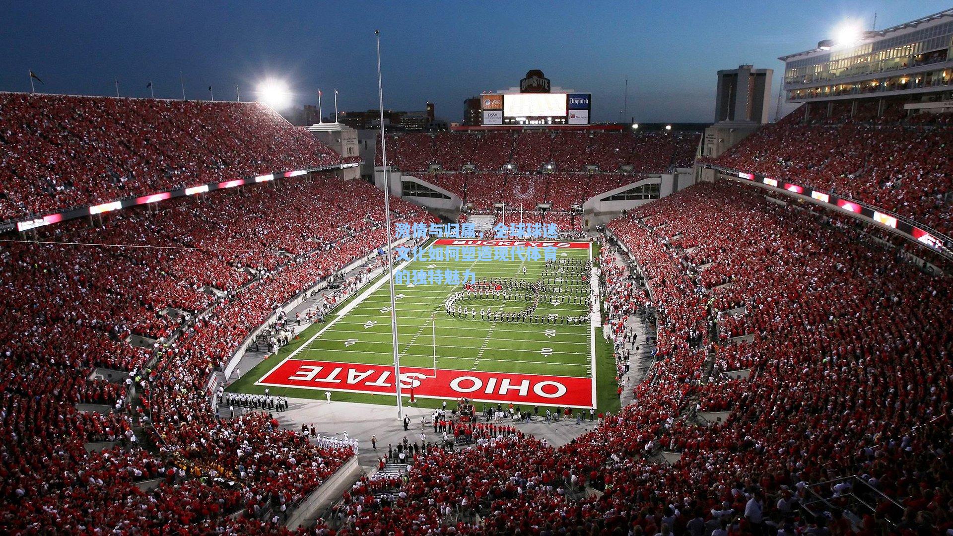 激情与归属,全球球迷文化如何塑造现代体育的独特魅力