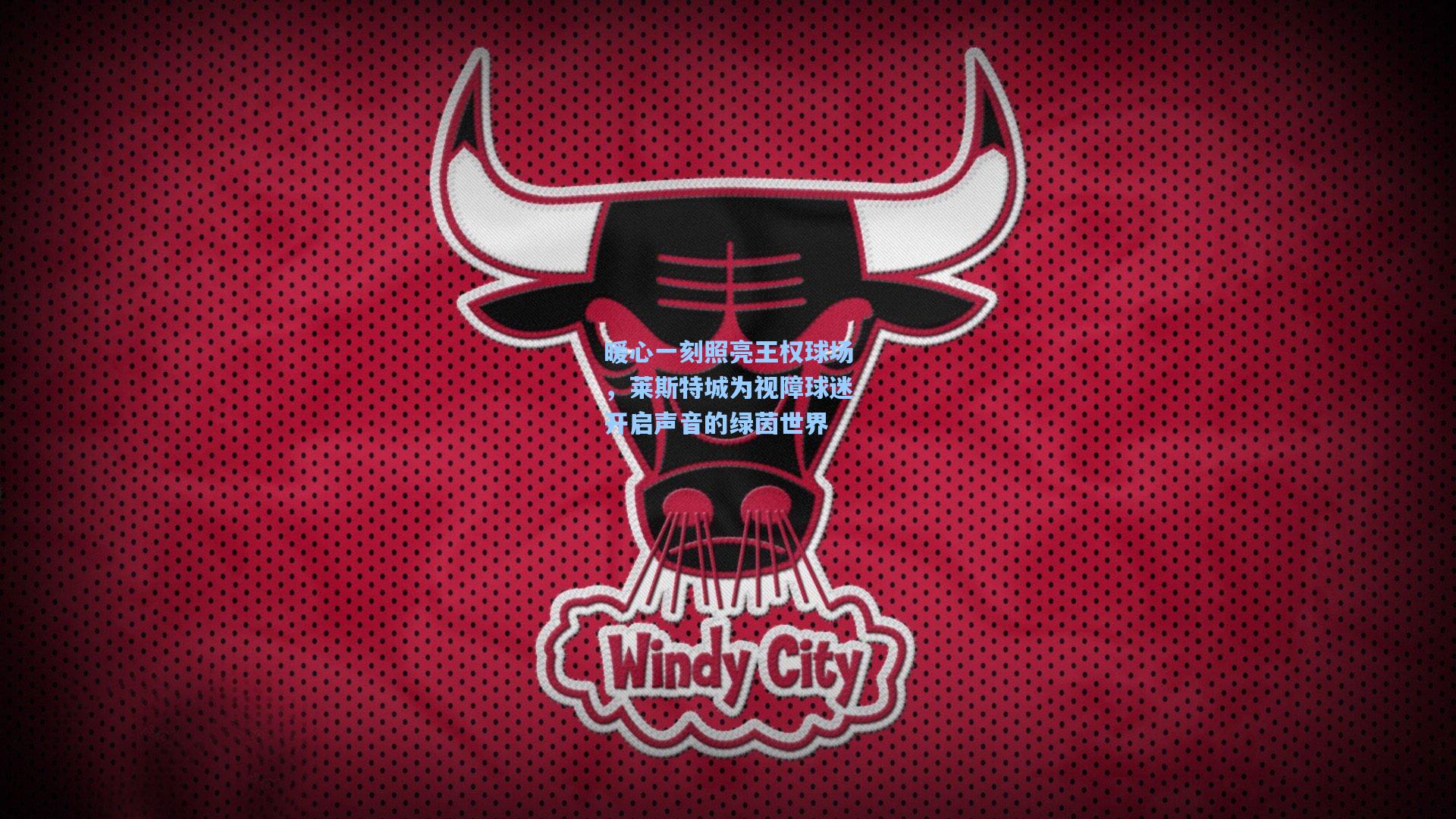 暖心一刻照亮王权球场,莱斯特城为视障球迷开启声音的绿茵世界